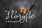 Floryfic Font, a Script Font by Digital Typeface Studio (Thumbnail 2 of 8)