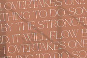Merliha Modern Serif Font, a Serif Font by Storytype Studio (Thumbnail 9 of 15)