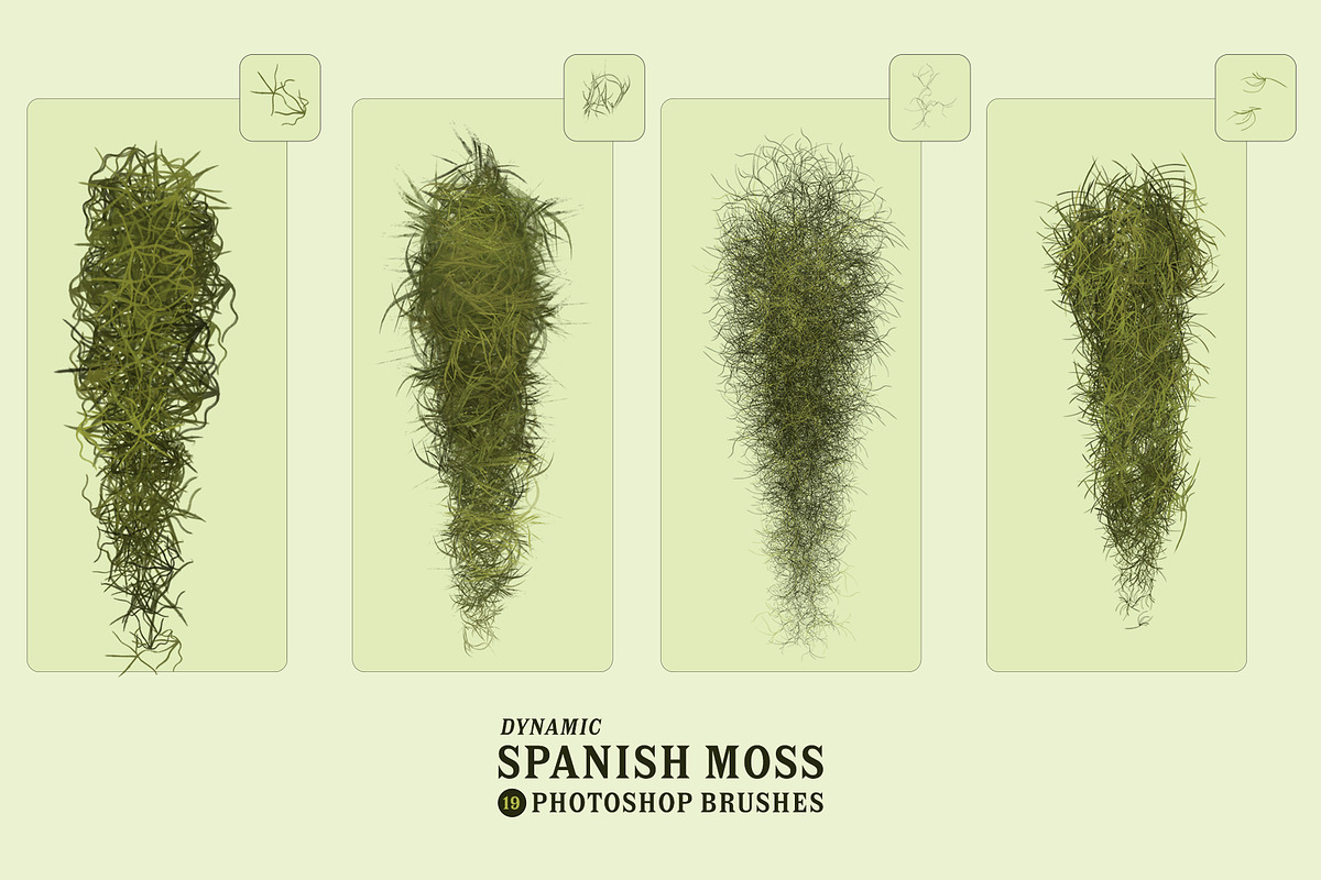 Spanish Moss Photoshop Brushes, a Brush Add-On by Mohamed Saber (Photo 3 of 5)