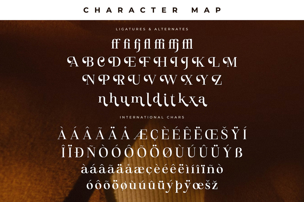 Miraden Florale Modern Serif Font, a Serif Font by Storytype Studio (Photo 14 of 15)