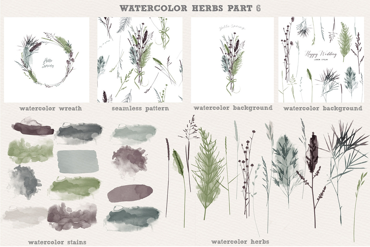 Watercolor herbs collection, a Decorative Illustration by Tatiana Davidova (Photo 7 of 8)
