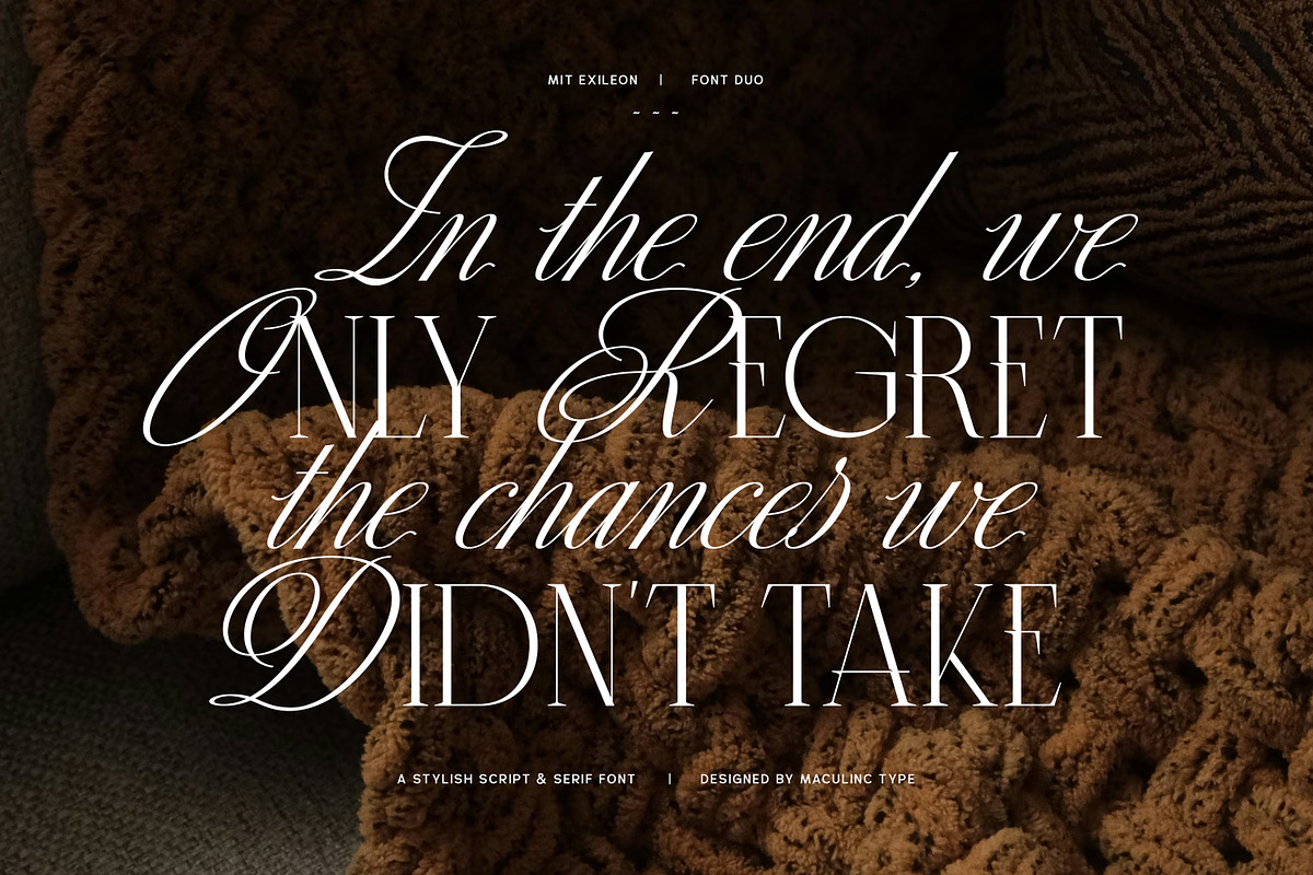 MIT Exileon - Script&Serif font duo, a Serif Font by Maculinc Type (Photo 5 of 16)