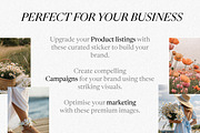 Summer Aesthetic Stock Photo Bundle, a Photo by Helospace (Thumbnail 8 of 10)