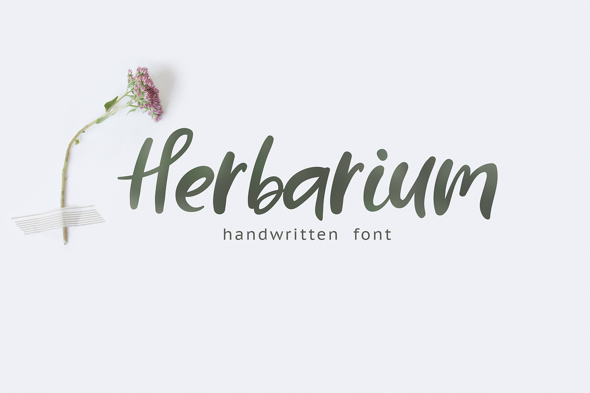 Handwritten Font BUNDLE, a Script Font by AnMark (Photo 14 of 18)