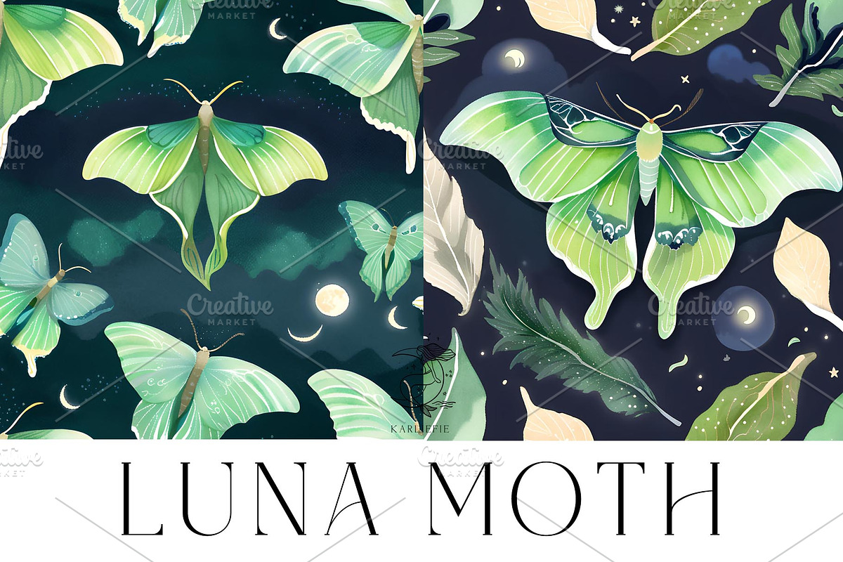 Luna Moon Moth, a Decorative Illustration by Karliefie (Photo 1 of 5)