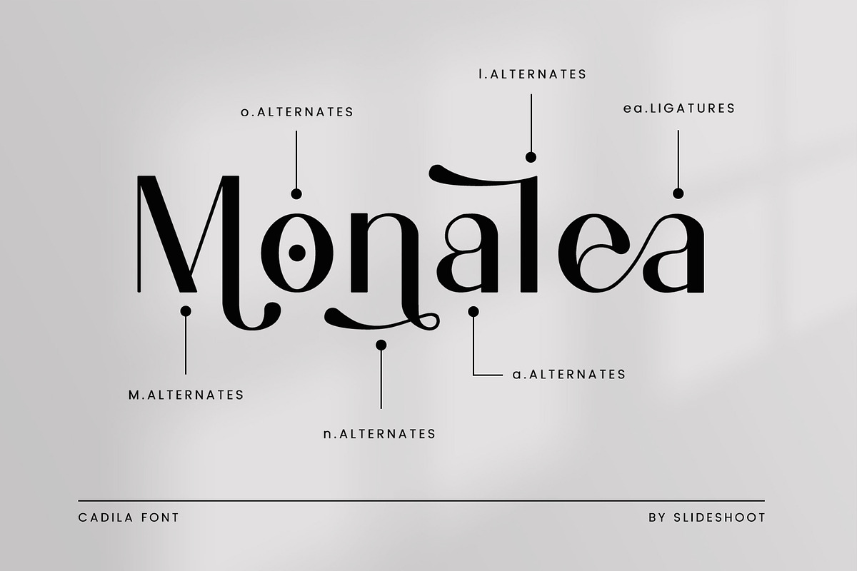 Cadila Sans Serif Font, a Sans Serif Font by Idea Studio (Photo 5 of 11)