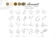 Botanical shapes, organic forms, a Decorative Illustration by JuDesign (Thumbnail 2 of 11)