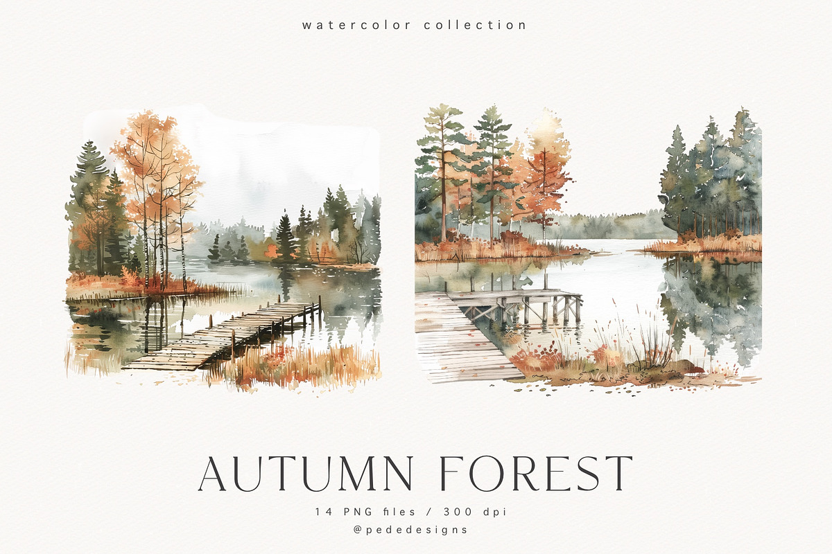 Autumn Forest, a Seasonal Illustration by PeDe Designs (Photo 6 of 7)