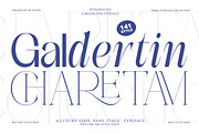 Galdertin Charetam | 141 Font Style, a Serif Font by IM Studio (Thumbnail 1 of 12)