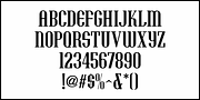 Vacation Resort JNL, a Serif Font by Jeff Levine Fonts (Thumbnail 3 of 5)