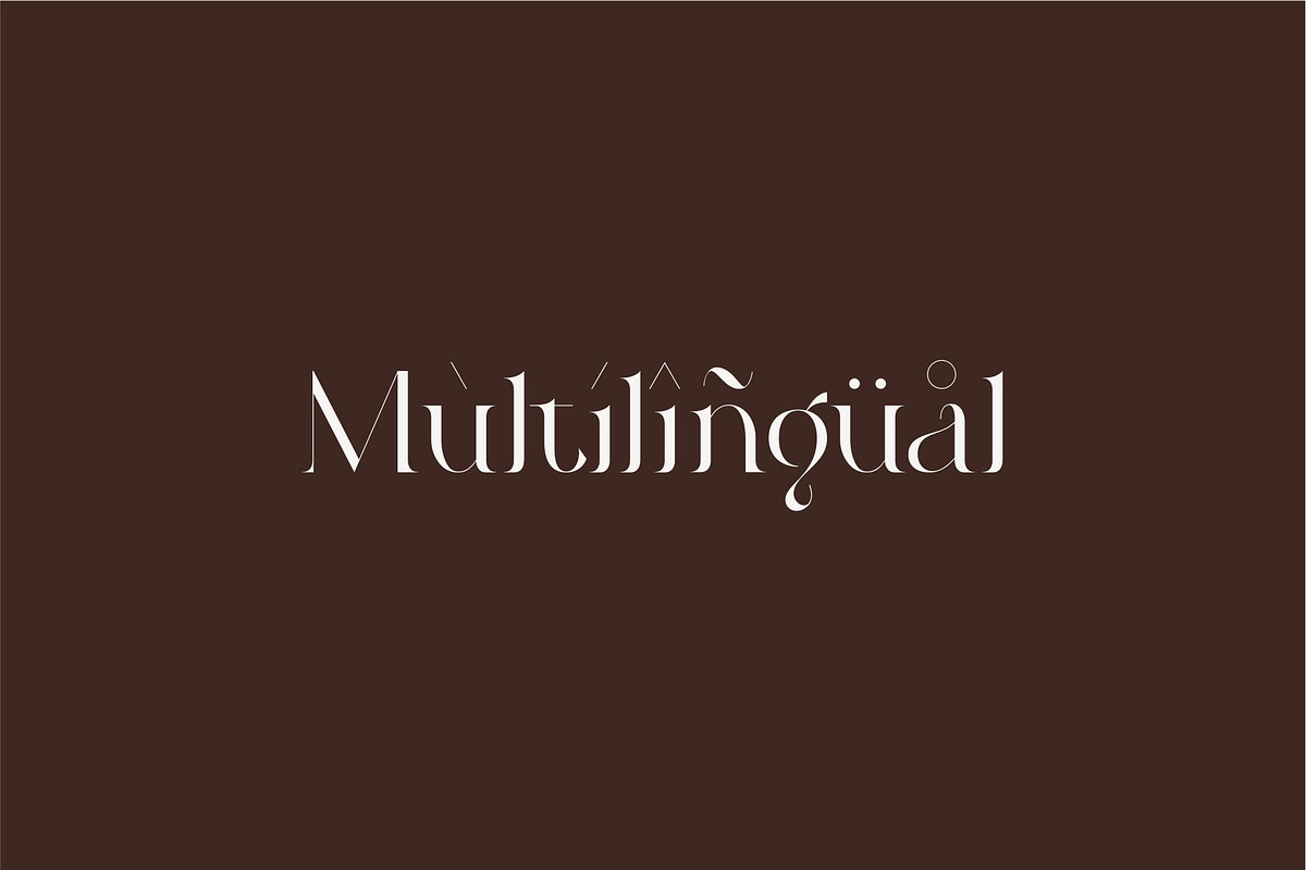 Roilra - Serif Ligature Font, a Serif Font by suhadidesign (Photo 12 of 13)