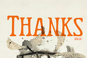Nordic Display Serif font, a Serif Font by NuType (Thumbnail 9 of 9)