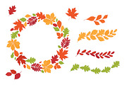 Hand drawn autumn leaves., an Education Illustration by Tkoko vectors & patterns (Thumbnail 12 of 12)
