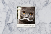 Mustaches and Beards, an Object Graphic by Nadia Emelianova (Thumbnail 5 of 5)