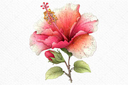 Whimsical Spring Hibiscus Flowers, an Illustration by Craft Nest (Thumbnail 10 of 11)