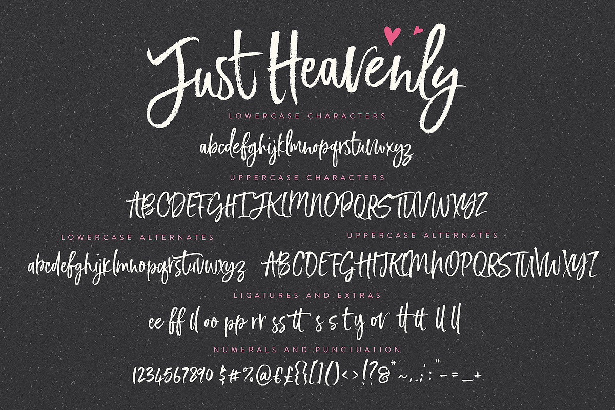 Just Heavenly Brush Font & Extras, a Script Font by Nicky Laatz (Photo 9 of 12)