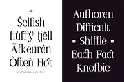 Oliveira - Modern Elegant Pixelated, a Serif Font by Typia Nesia (Thumbnail 5 of 14)