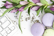 Macarons Photo Bundle & Mockups, an iPhone Mockup by Say Hello Photos (Thumbnail 5 of 5)