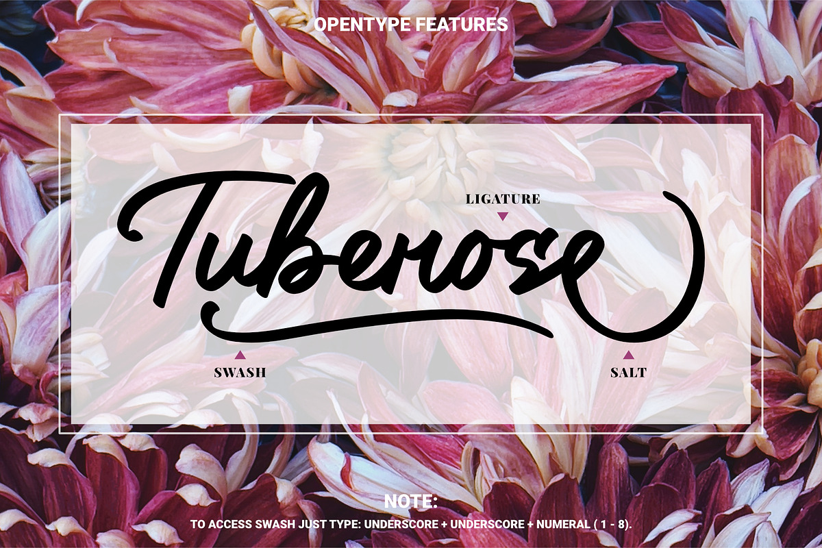 Bilground - Handwritten Fonts, a Script Font by Prioritype Co (Photo 10 of 14)