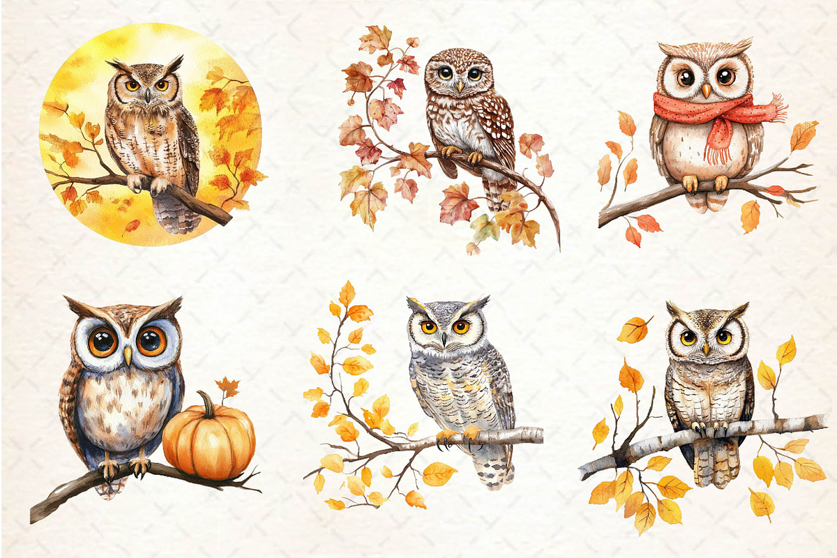 Autumn Owl Clipart Sublimation, an Illustration by Dream Creation (Photo 5 of 6)