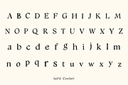 Serif Cowboy – Rustic Elegance, a Sans Serif Font by adenpinkstore (Thumbnail 2 of 8)