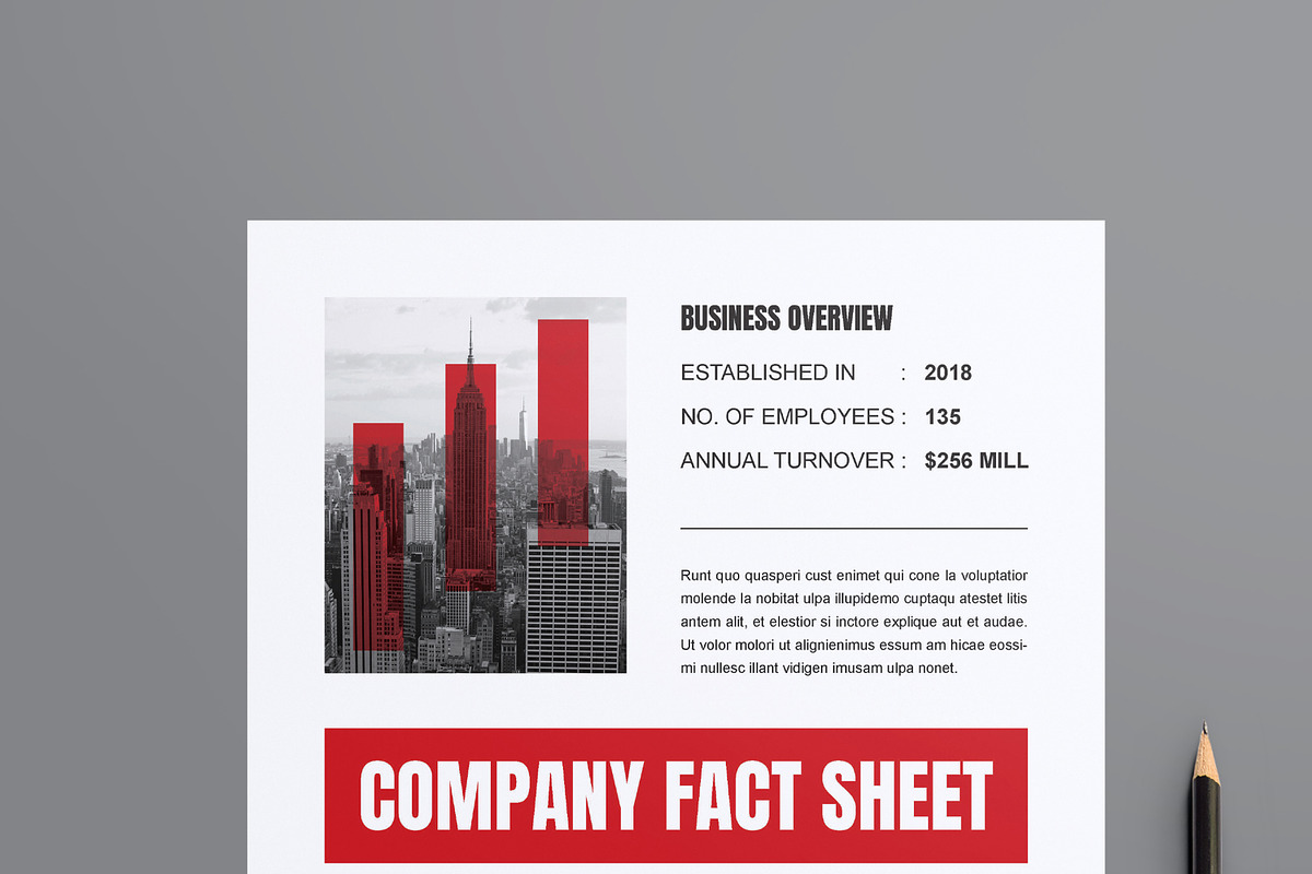 Business Company Fact Sheet Template, a Stationery Template by MightyDesign (Photo 2 of 8)