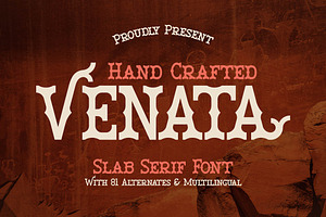 Venata | Slab Serif Font, a Slab Serif Font by Denustudios