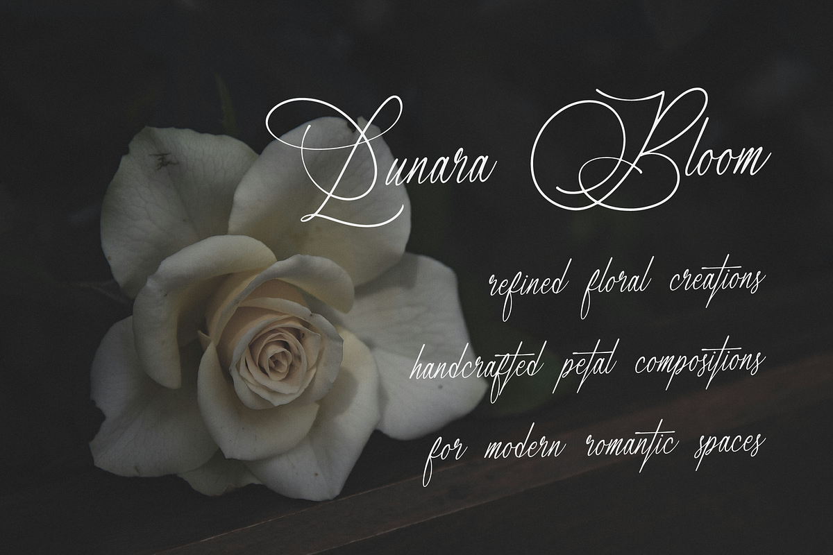 Marseliyon Elegant Signature Script, a Script Font by gracetype_studio (Photo 7 of 12)
