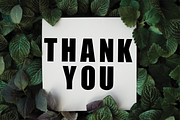 Monogram, a Script Font by InermediaSTUDIO (Thumbnail 9 of 9)
