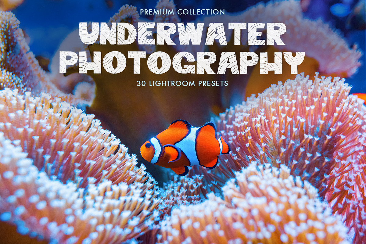 Underwater Photography Presets, a Plug-in Add-On by FixThePhoto (Photo 1 of 32)
