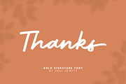 History, a Script Font by Paul Hewitt (Thumbnail 7 of 7)