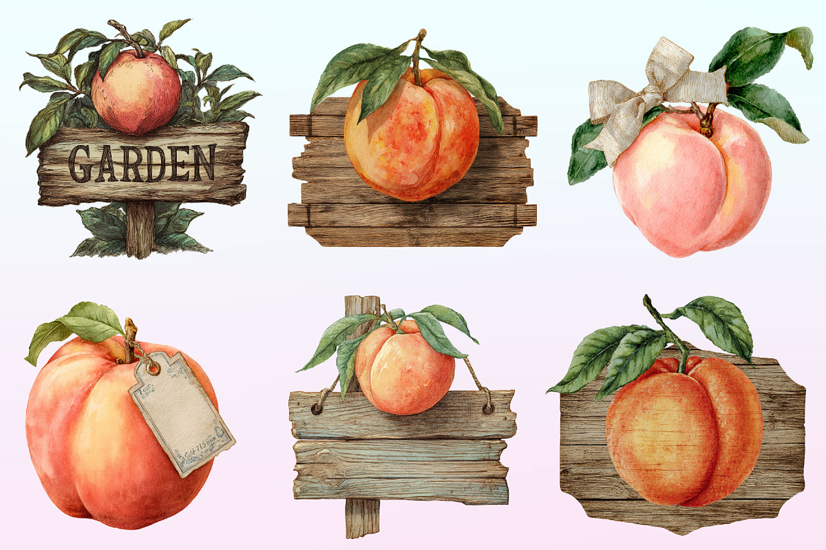 Cute Peaches Garden Fruit Png, a Graphic by CitraGraphics (Photo 2 of 4)