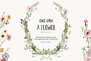 Wildflowers & Animals GRAPHIC BUNDLE