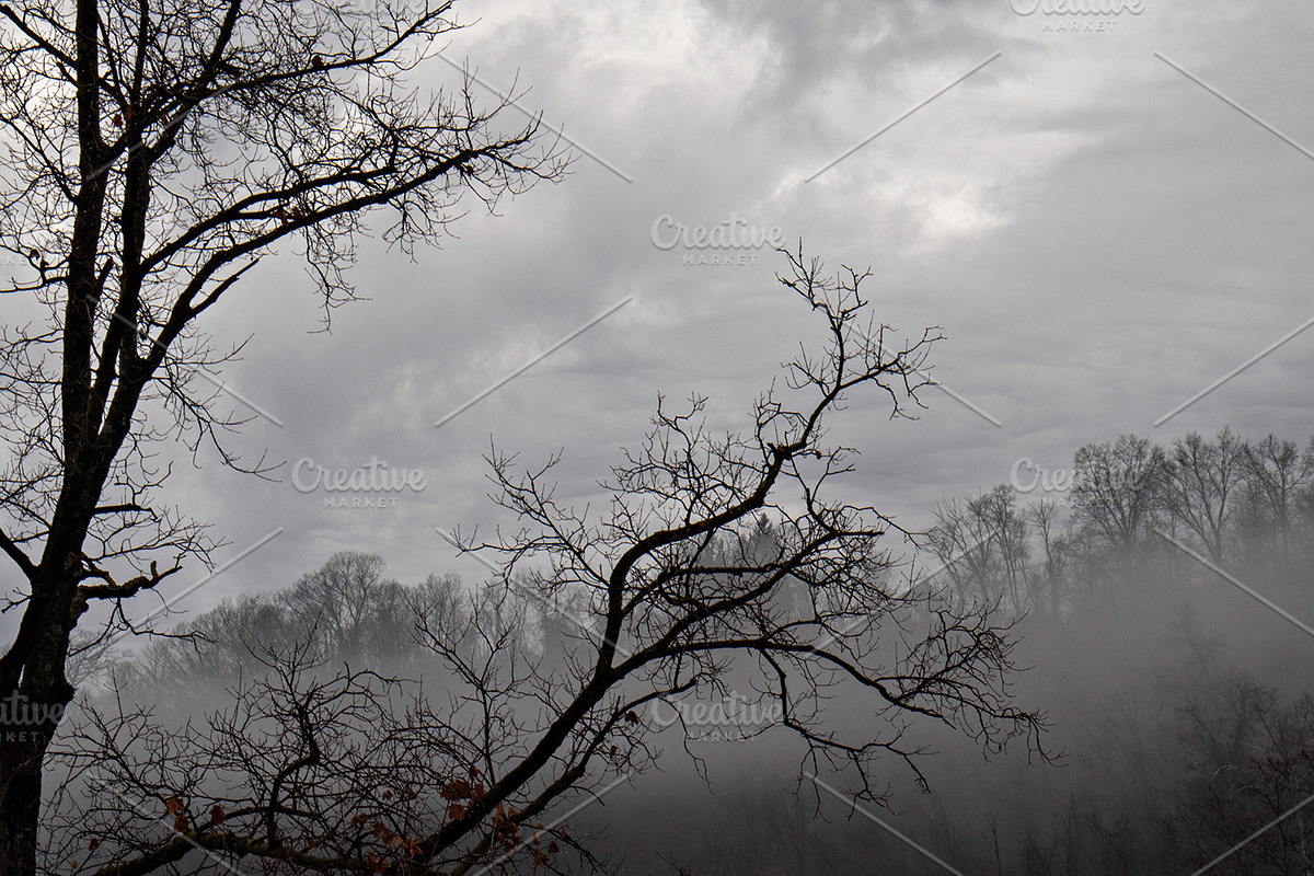 Foggy Photo Bundle, a Nature Photo by Full Circle Design Studio (Photo 1 of 8)