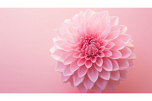 floral flower pink background ai, a Nature Photo by pikepicture