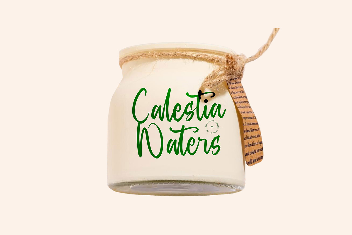 Baghera Thenetta Modern Handwritten, a Script Font by stylishtype.co (Photo 3 of 20)