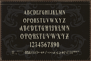 Famous Flames, a Blackletter Font by dansdesign (Thumbnail 8 of 9)