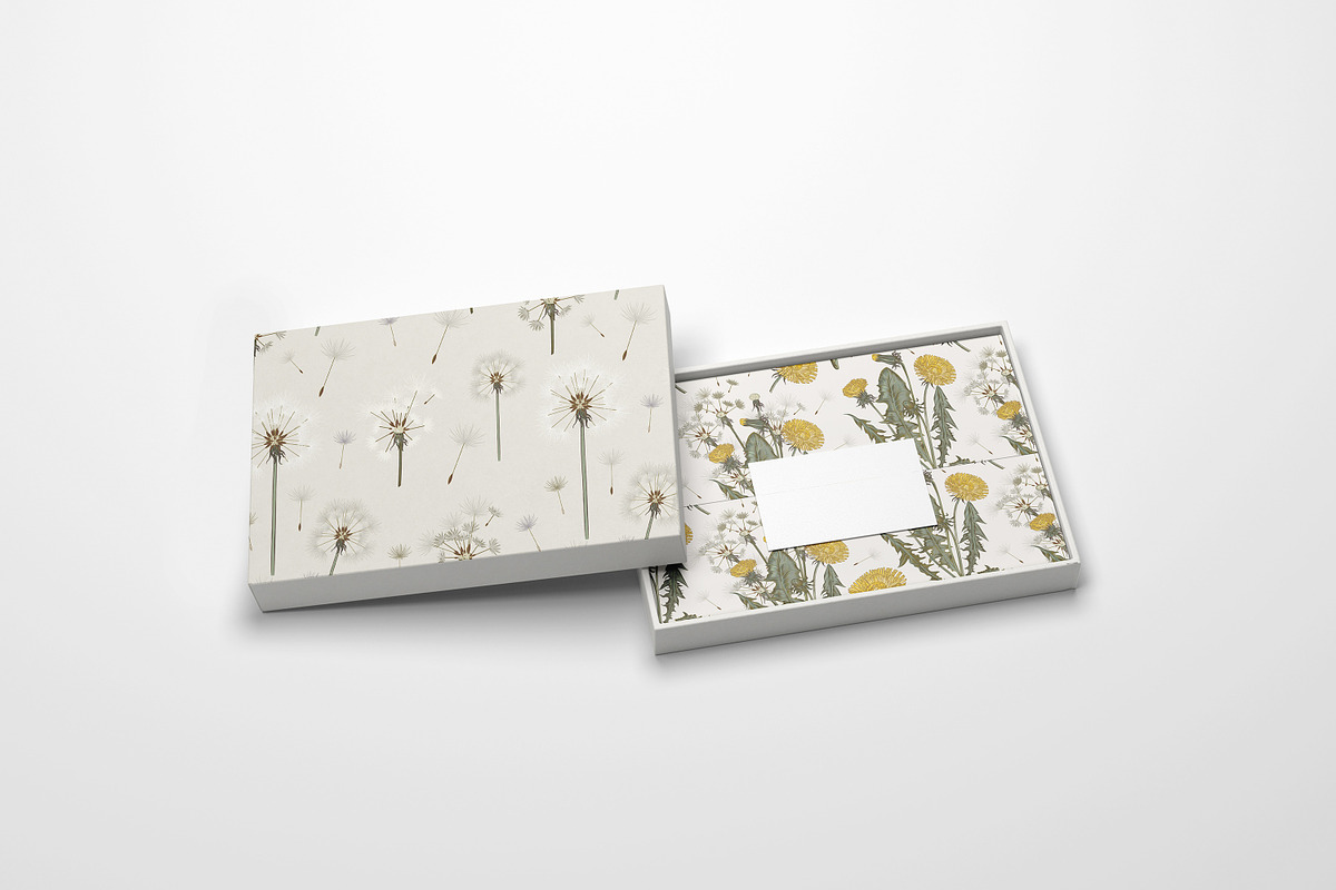 Dandelion wildflowers patterns set, a Seasonal Illustration by FleurArt (Photo 6 of 11)