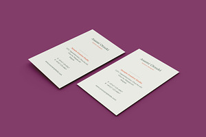 Business Card InDesign Template