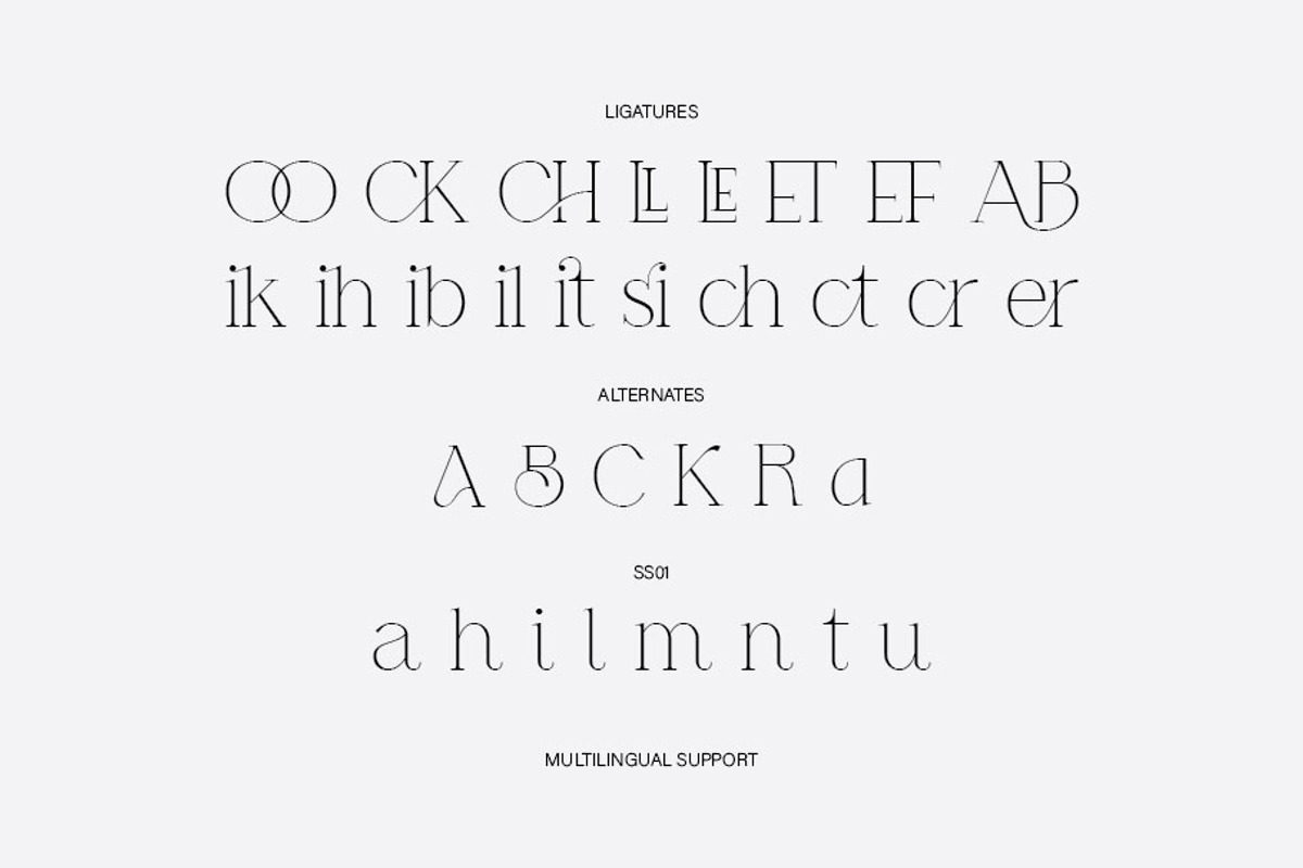 MOORA LIGHT, a Serif Font by rmdndsign (Photo 7 of 7)
