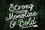 Zolfiq Monoline Smooth & Cool Script, a Script Font by Lettertype Studio (Thumbnail 2 of 8)