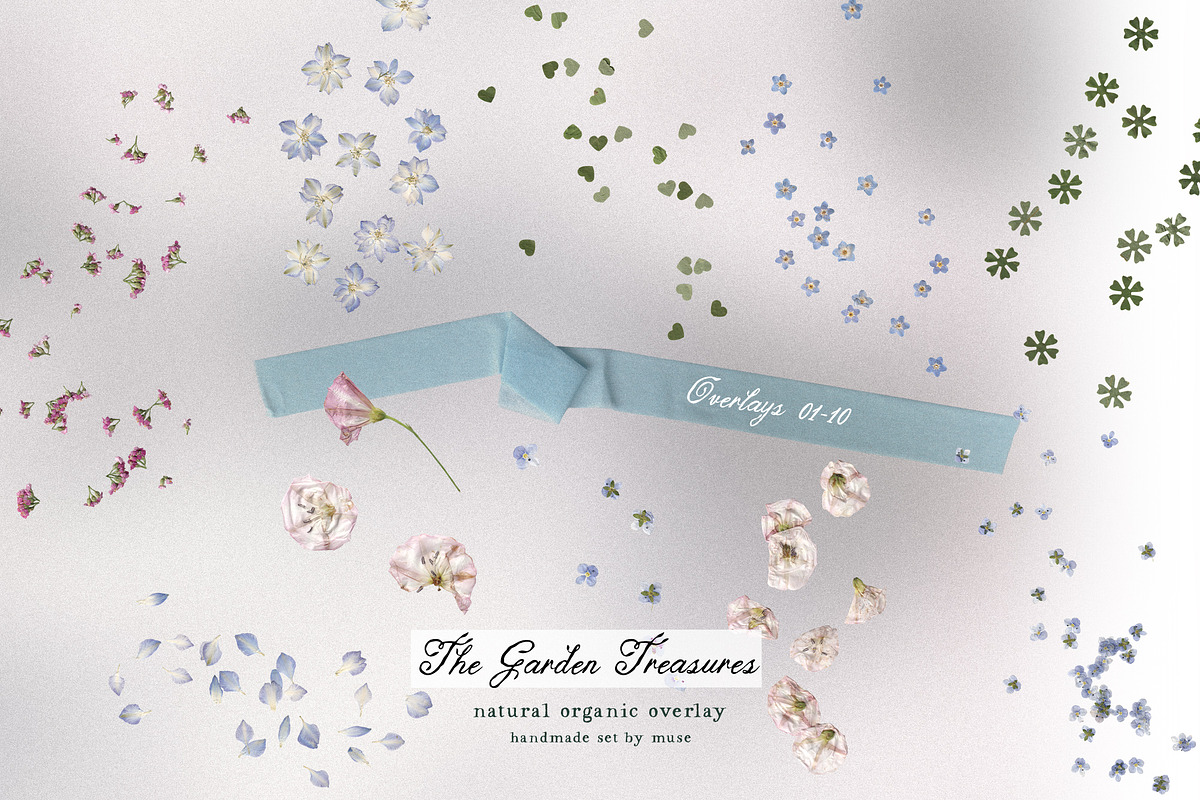 The Garden Treasures Floral Overlays, an Object Graphic by Muse Artist (Photo 11 of 14)