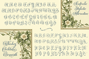 Bafirolic Classic Script, a Script Font by TypeClassHeroes (Thumbnail 5 of 10)