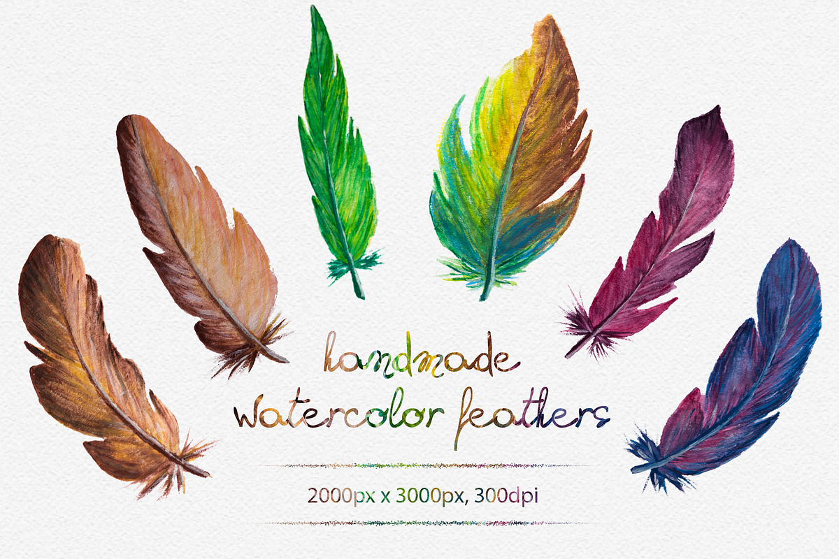 Watercolor Feathers, an Illustration by ArtPlanet