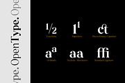 Monesta Regular, a Serif Font by ShowUp! Studio (Thumbnail 10 of 16)