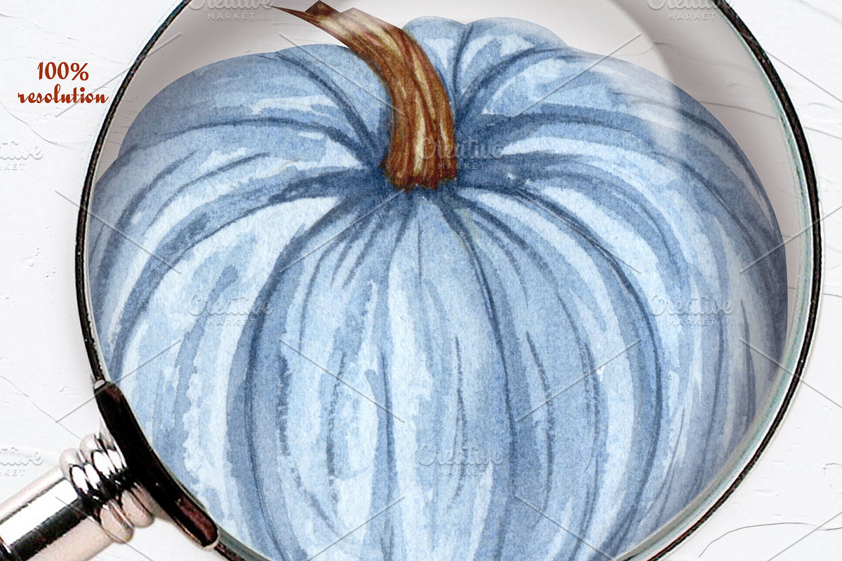 Blue Pumpkins Watercolor Clipart, a Food Illustration by BarvArt (Photo 5 of 6)