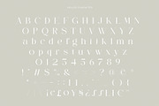 Mellos - Stylish Retro Serif, a Serif Font by GridlineType (Thumbnail 9 of 10)