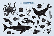Sealife Silhouettes Illustration Set, an Animal Illustration by rouxsupplyco (Thumbnail 5 of 16)