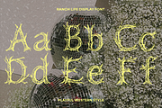 Ranch Life Western Display Font, a Handwritten Font by Sarah Baker (Thumbnail 2 of 8)