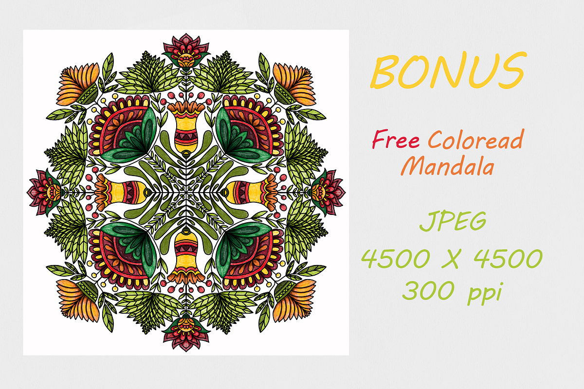 Drawn mandalas in folk style flower, a Brushes & More by dnapslvsk (Photo 4 of 5)